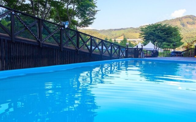 Forest of Morning Calm