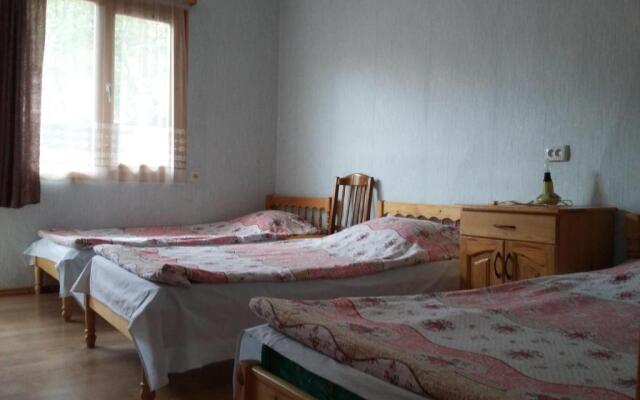 Emma's Guesthouse in Borjomi