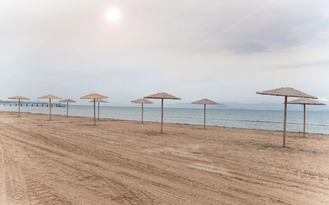 Olive Grove Beachfront Apartments & Suites