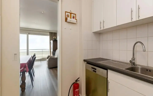 Spacious Apartment in Blankenberg
