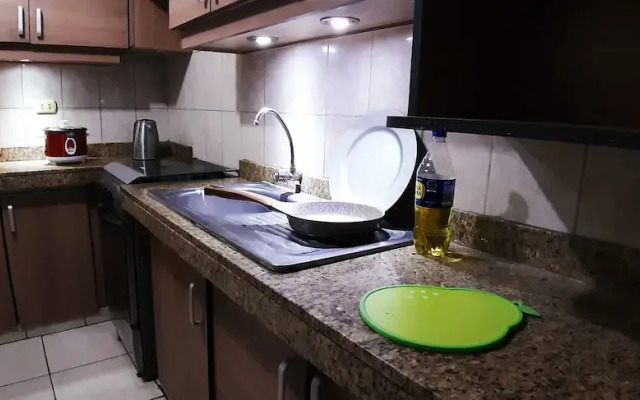 Sebris Cafic Art Gallery House