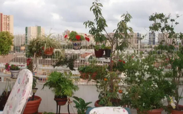 Apartamento La Pobla