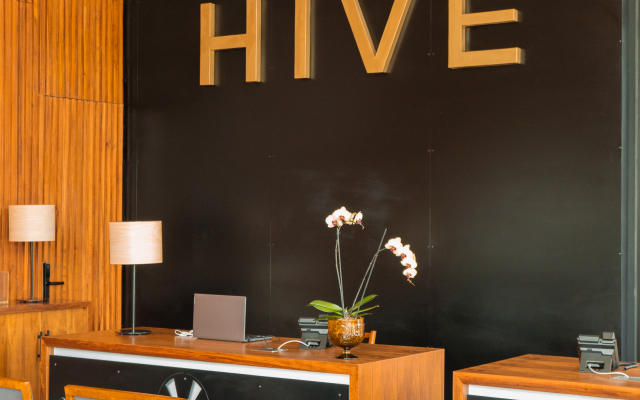 Hive Cancun