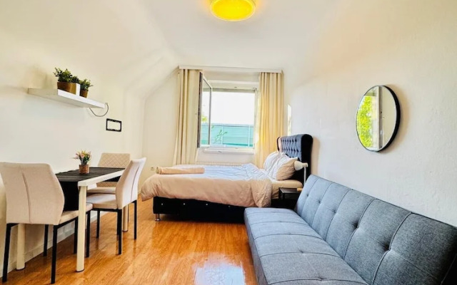 Cozy Garden Villa near Danube For 16P