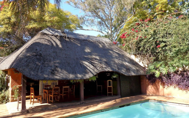 TreeTops & Treats Guest House