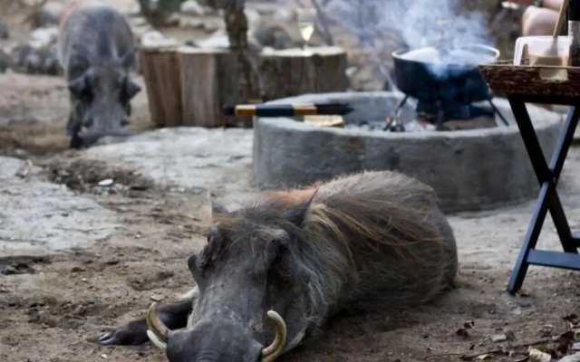 Marloth Kruger Accommodation