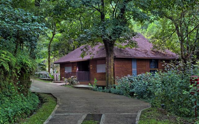 The Tamara Coorg