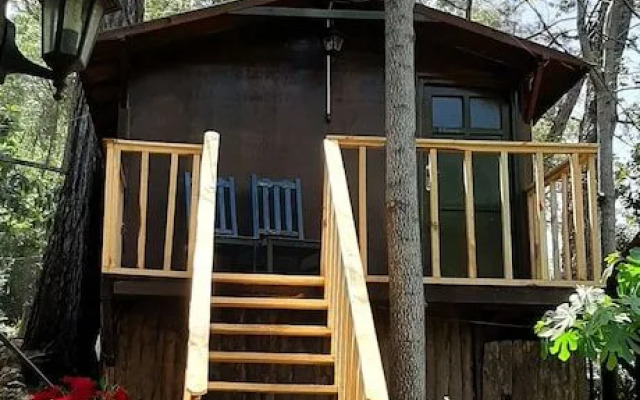 Altaris Bungalows Olympos