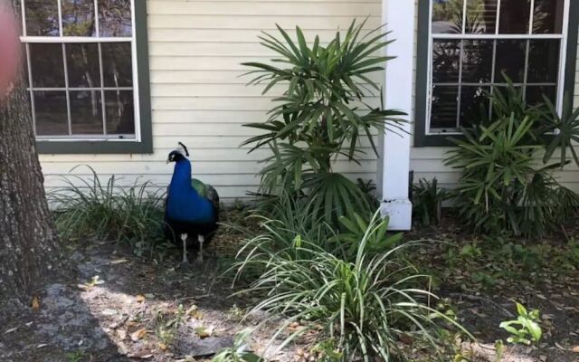 The Tropical Oaks Villa - Near Disney