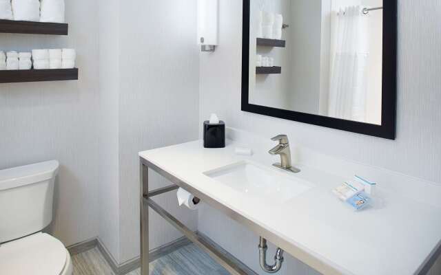 Hilton Garden Inn Dallas/Arlington South