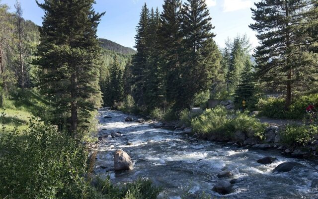 Coldstream Townhome 15