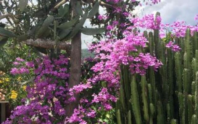 El Agua Casa De Huespedes