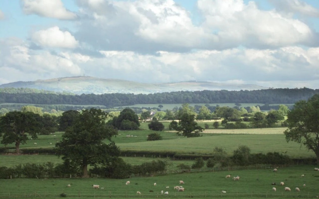 7 Gretton