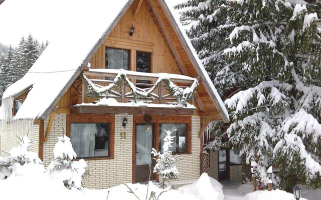 Traveland Poiana Brasov