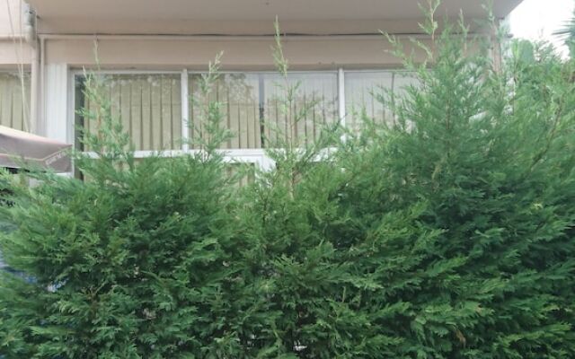 Kumbaz Apartment