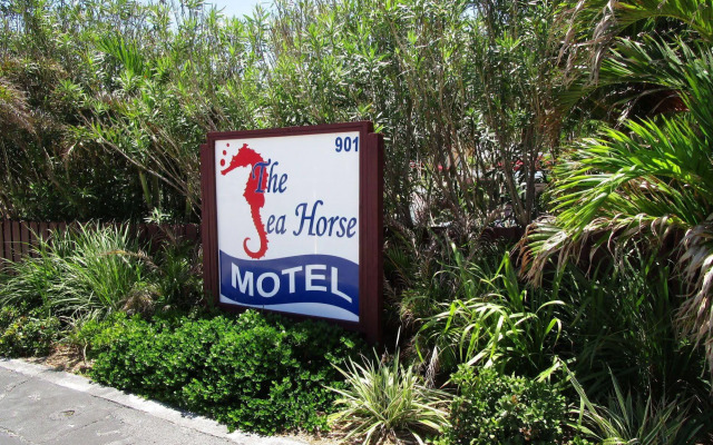Seahorse Guesthouse