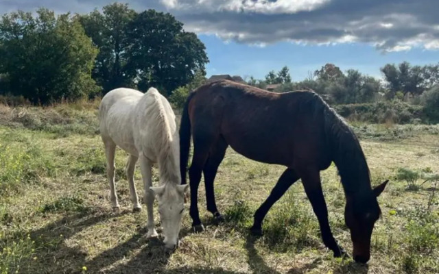 Villa Casina Dell'Etna