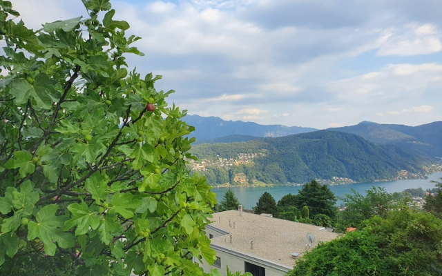 Evia Apartment