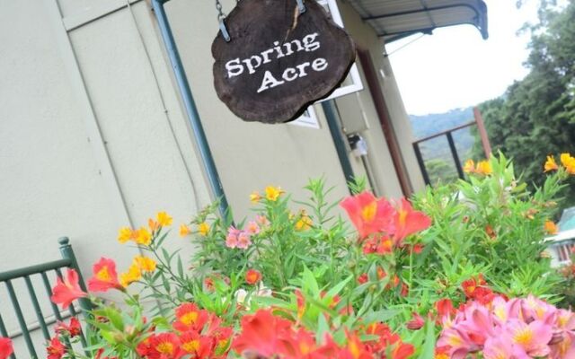 Spring Acre