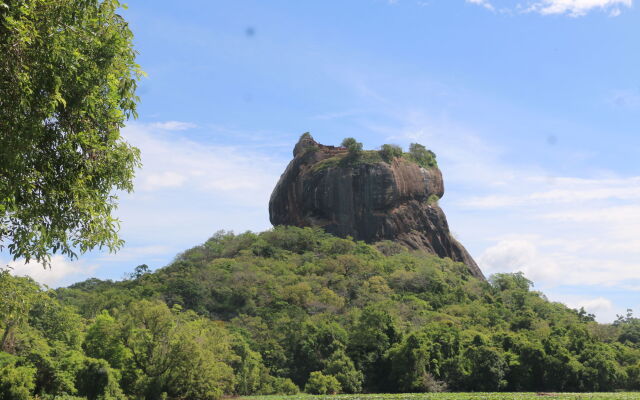 Sigiriya Jungles