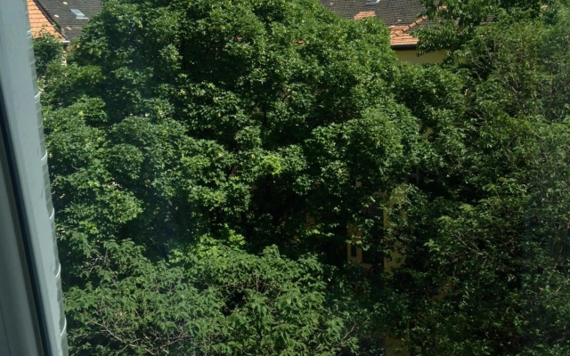 Self check-in eco studio - free street parking closeby