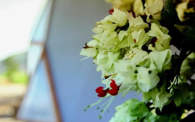 Serranía del Viento