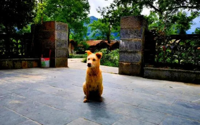 Mount Fanjing Yunshali Homestay