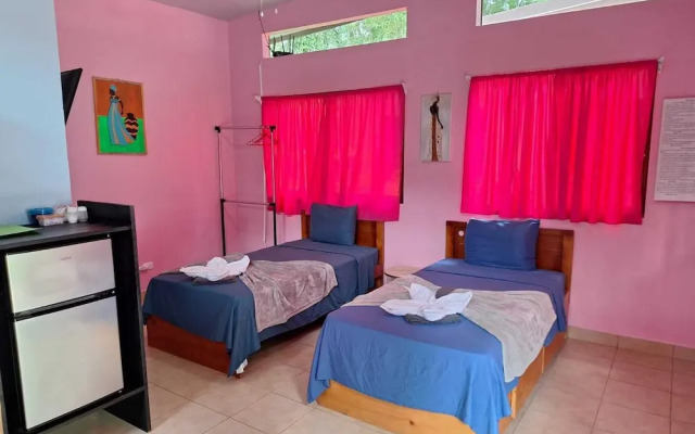 Caribbean Blue Morpho