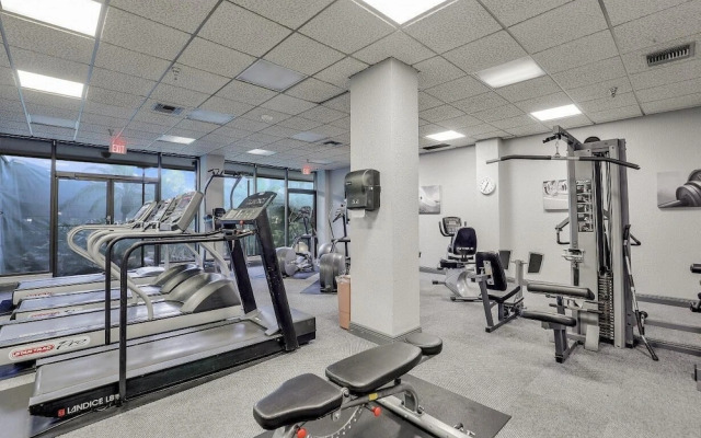 South Seas Tower 3-905