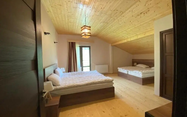 Hotel Axien Kazbegi