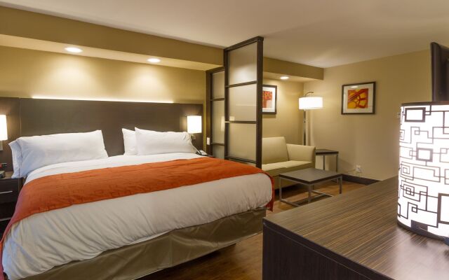 Holiday Inn Express & Suites San Antonio Medical-Six Flags, an IHG Hotel