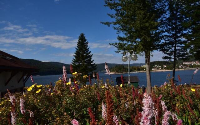 Apartment Eisenhauer in Schluchsee