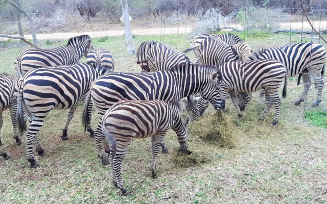 Kruger Riverside Lodge