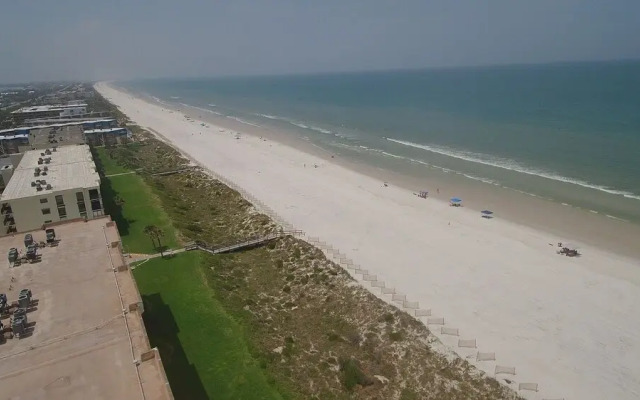 Sand Dollar 404