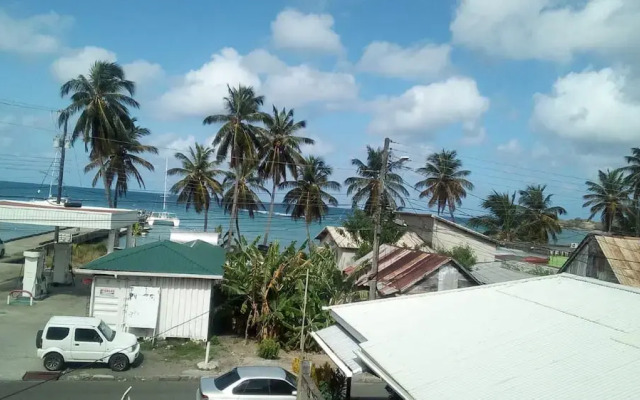 Fabulous Lab Seaview 2