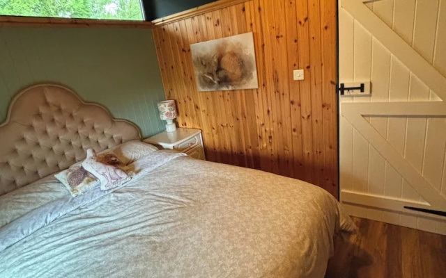11 Tan-y-coed Woodland Lodge