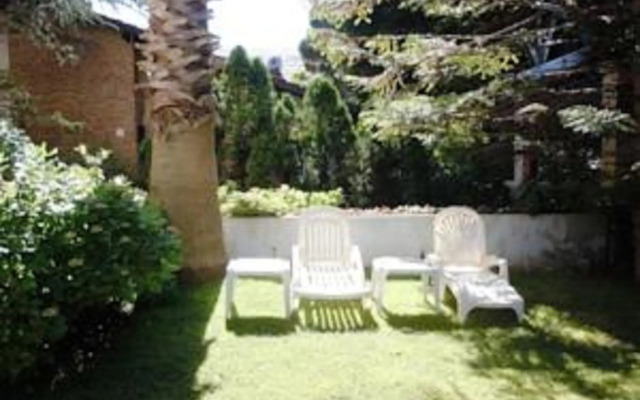 Las Araucarias