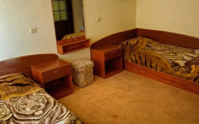 Hotel Mir