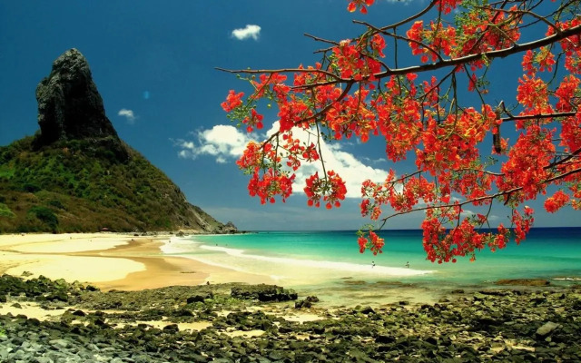 Tiny beach house CONCEIÇÃO