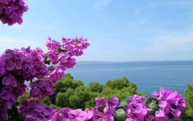 Apartment Milica - sea view : A2 Krilo Jesenice, Riviera Omis