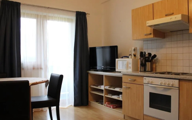 Apartment in Saalfelden Near Ski Slopes