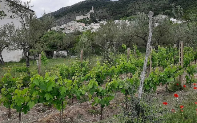La Rocca Mia House B&B