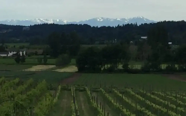 Parsell Vineyard
