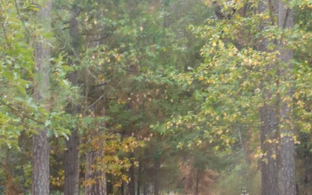 Yosemite Paradise Inn