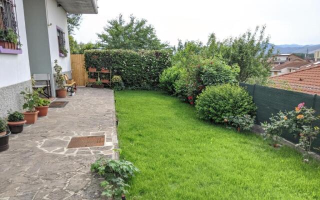 Nel giardino di Oz