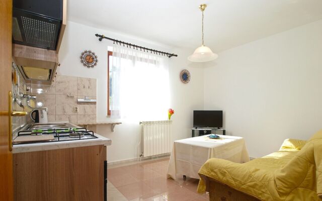 Apartment 1965