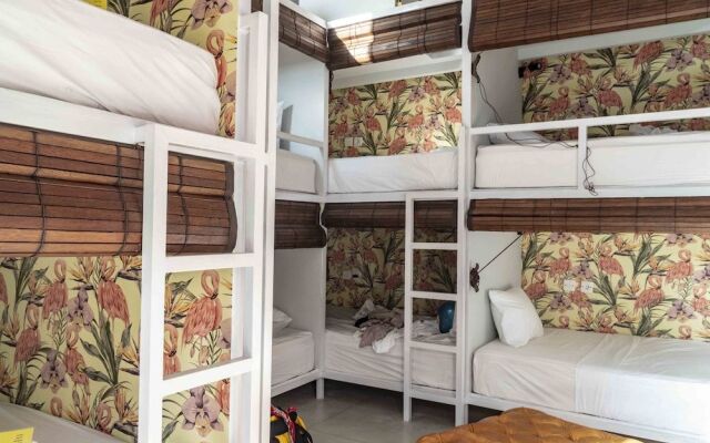 Socialista Lifestyle Hostel