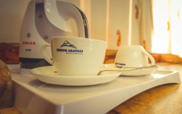 Serene Aravali Resort
