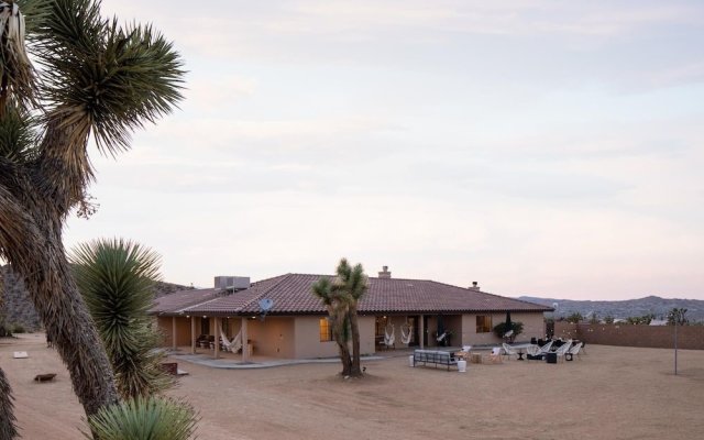 Emerson Ave - Flora in Yucca Valley