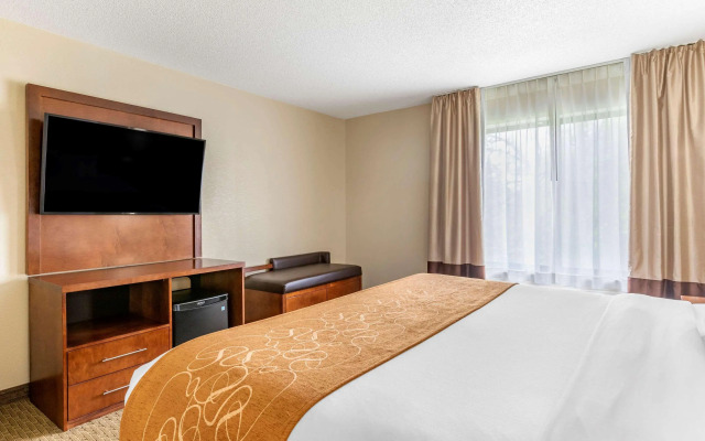 Comfort Suites Grand Rapids North